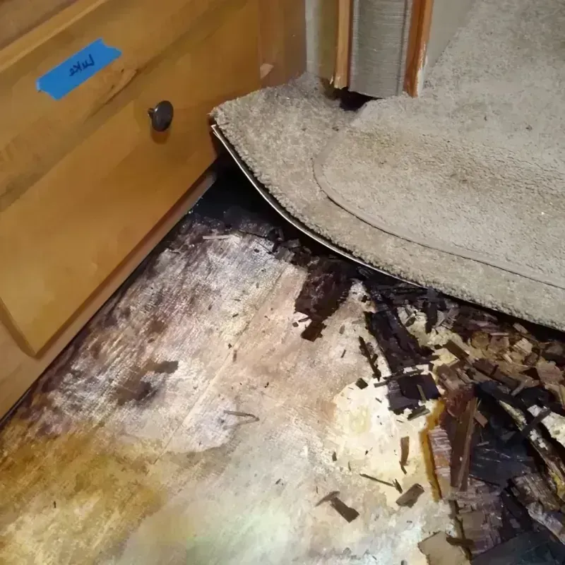 Wood Floor Water Damage in Edwards County, TX